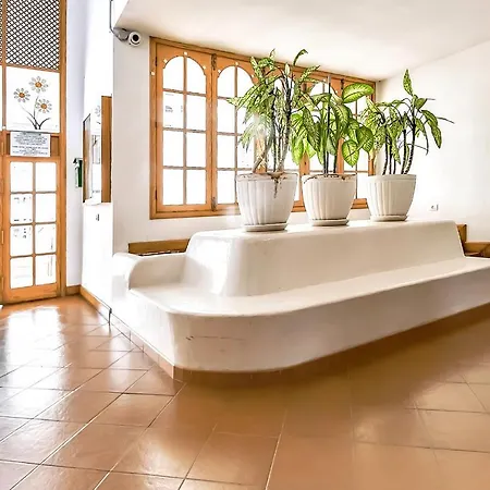 Lejlighed With Heated Pool In Parque Margarita